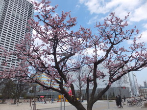 S0122018.jpg