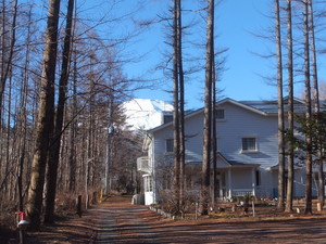 S0131013.jpg