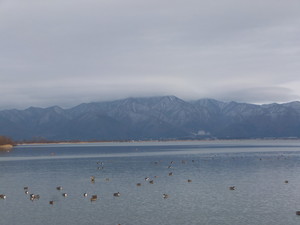 S0185018.jpg