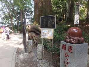 S0227502.jpg