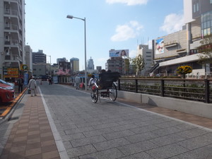 S0242033.jpg