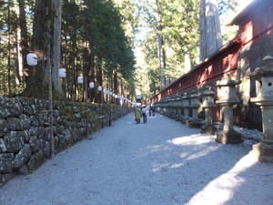 S0262633.jpg