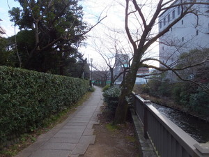 S0336120.jpg
