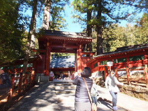 S0372644.jpg