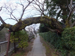 S0416129.jpg