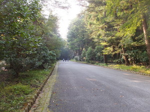 S0487625.jpg