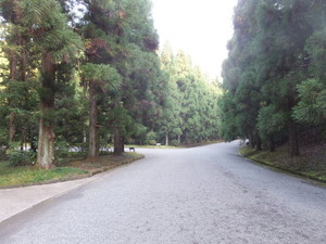 S0607637.jpg