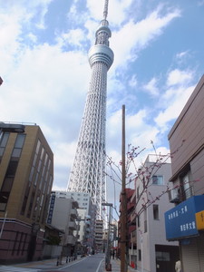 S0612080.jpg