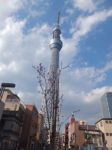 S0622081.jpg