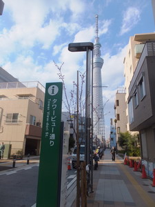 S0662086.jpg