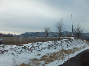 S0803085.jpg
