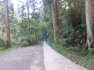 S0827565.jpg