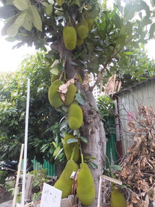 DSCF1095.jpg