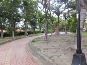 DSCF1098.jpg