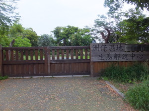 DSCF1108.jpg