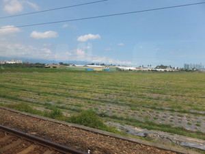 DSCF1267.jpg