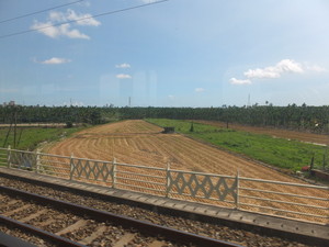 DSCF1272.jpg