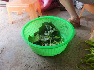 DSCF1315.jpg
