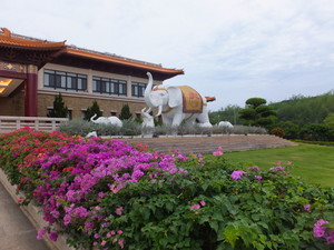 DSCF4927.jpg
