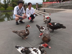 DSCF5334.jpg