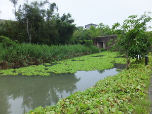 DSCF5479.jpg