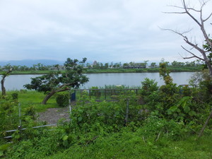 DSCF5549.jpg