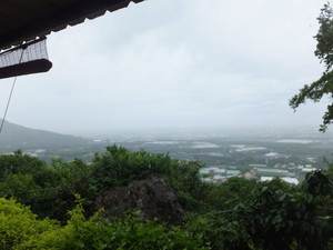 DSCF5991.jpg