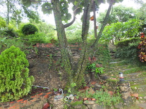 DSCF6008.jpg