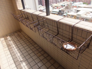 DSCF6800.jpg