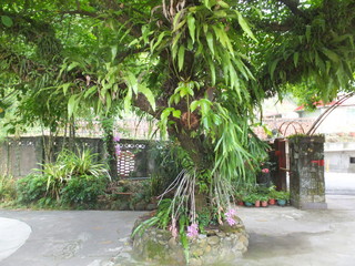 DSCF7003.jpg