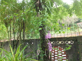 DSCF7004.jpg
