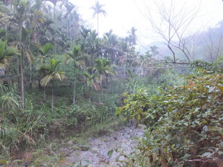 DSCF7042.jpg