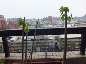 DSCF7179.jpg