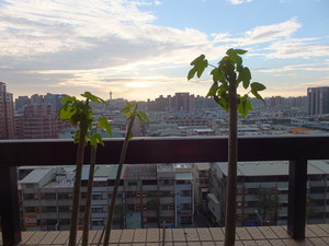 DSCF7180.jpg