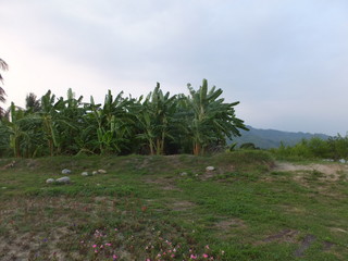 DSCF7274.jpg