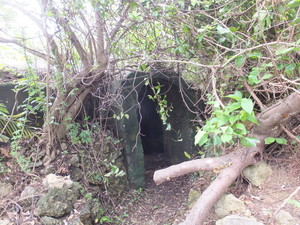 DSCF7338.jpg