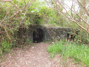 DSCF7339.jpg