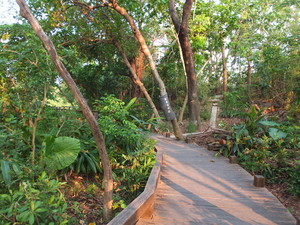 DSCF7578.jpg