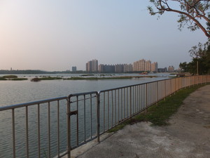 DSCF7598.jpg