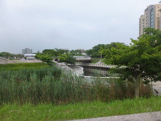 DSCF7704.jpg