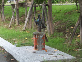 DSCF7707.jpg