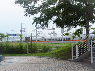 DSCF7714.jpg