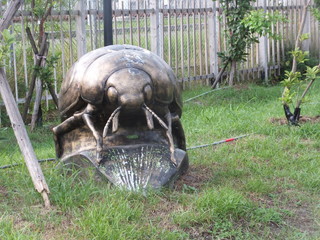 DSCF7725.jpg