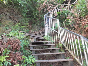 DSCF7745.jpg