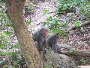 DSCF7751.jpg