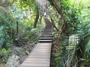 DSCF7768.jpg
