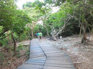 DSCF7786.jpg