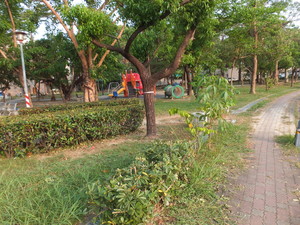 DSCF8046.jpg