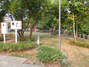 DSCF8053.jpg