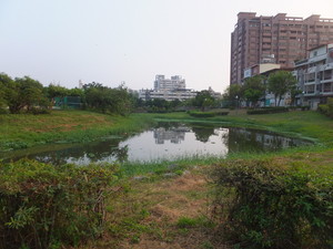 DSCF8072.jpg